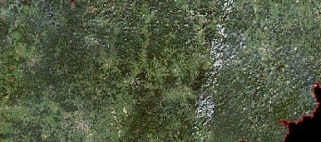 Картографирование мест произрастания борщевика Сосновского в Смоленской области